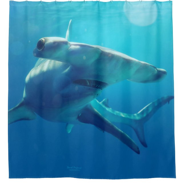 Cortina Para Chuveiro Cabeça de martelo (Frente)