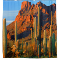 Cacto e montanhas do Saguaro do deserto de Arizon
