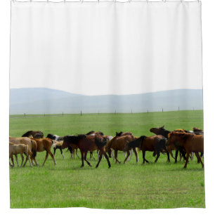 Cortina Para Chuveiro Cavalos na Praga - Fotografia Paisagem