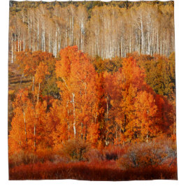 Cortina Para Chuveiro Cor de queda do outono Aspende a cortina do Chá Ko