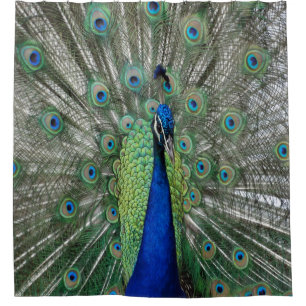 Cortina Para Chuveiro Dança de Pavock