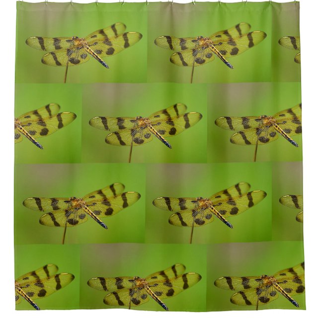 Cortina Para Chuveiro Dragonfly ouro (Frente)