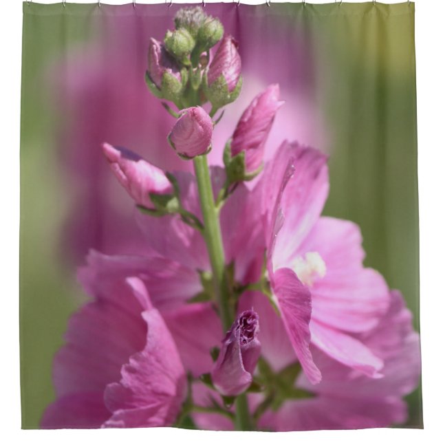 Cortina Para Chuveiro Dusty Mauve (Frente)