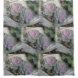 Cortina Para Chuveiro Echeveria Succulent Pattern