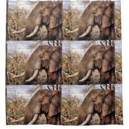 Cortina Para Chuveiro Elephant Lovers Art
