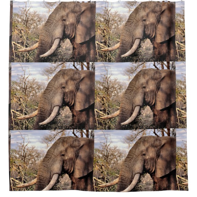Cortina Para Chuveiro Elephant Lovers Art (Frente)