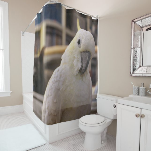 Cortina Para Chuveiro Está atrás de mim...não é? (In Situ)