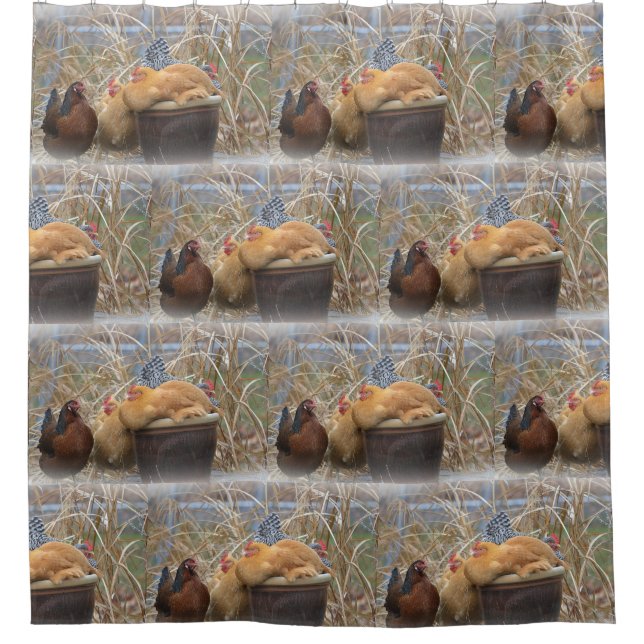 Cortina Para Chuveiro Festa Hen (Frente)