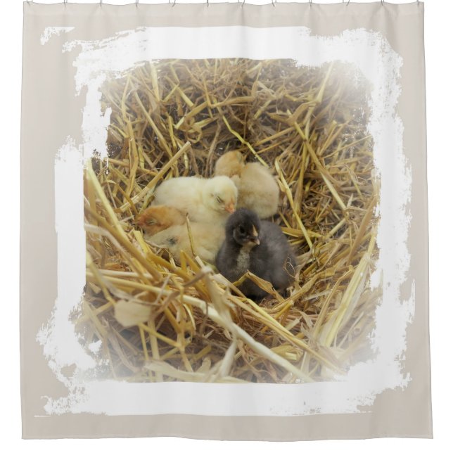 Cortina Para Chuveiro frango pequeno (Frente)