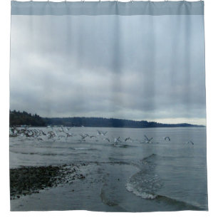 Cortina Para Chuveiro Gaivotas sobre a praia de Puget Sound