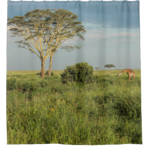 Cortina Para Chuveiro Girafa no Serengeti