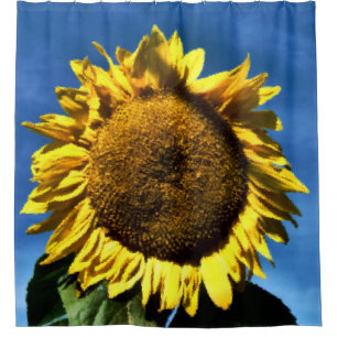 Cortina Para Chuveiro girassol amarelo grande pintado contra um céu azul