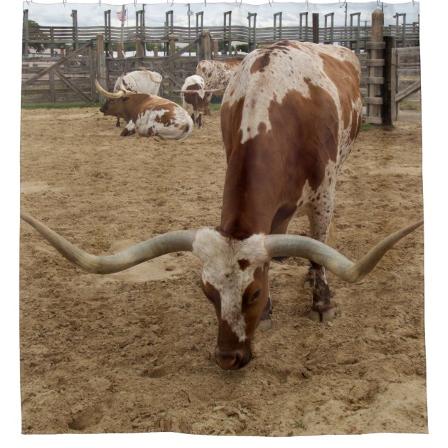 Cortina Para Chuveiro Grupo do MOO (Frente)