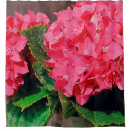 Cortina Para Chuveiro Hydrangeas Rosa
