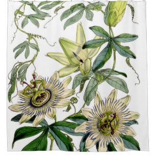 Cortina Para Chuveiro Impressão da pintura da flor de paixão