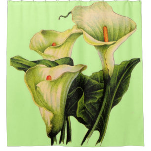 Cortina Para Chuveiro Impressão dos lírios de Calla