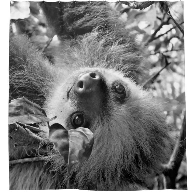 Cortina Para Chuveiro Lama (Frente)