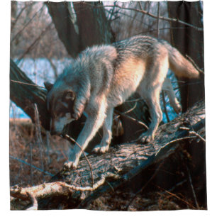 Cortina Para Chuveiro Lobo