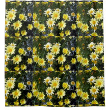 Misty (Agryranthemum)