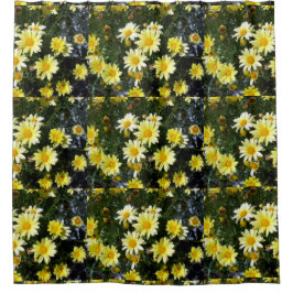 Cortina Para Chuveiro Misty (Agryranthemum)