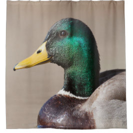 Cortina Para Chuveiro Pato-de-cabeça