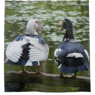 Cortina Para Chuveiro Patos de Muscovy