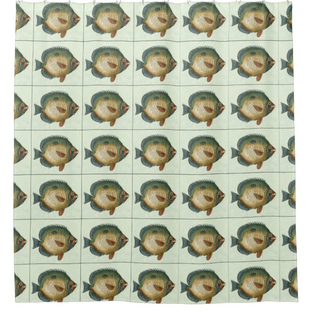 Cortina Para Chuveiro Peixe Grande Colorido (Frente)