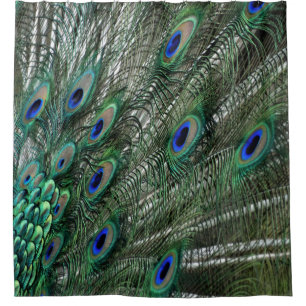 Cortina Para Chuveiro Penas verdes do pavão com olhos azuis