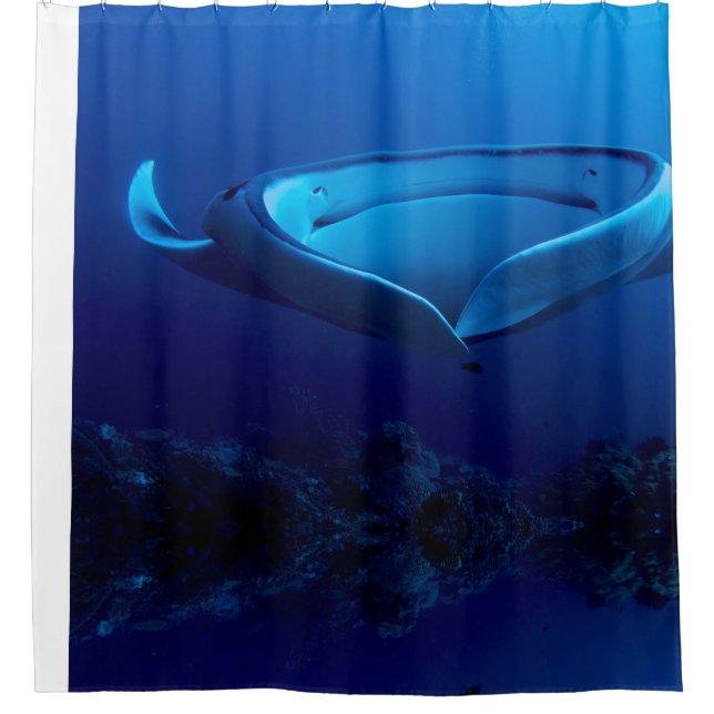 Cortina Para Chuveiro Raio de Manta gigante azul bonito (Frente)