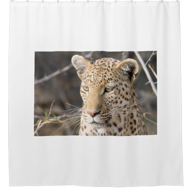 Cortina Para Chuveiro Retrato leopardo (Frente)