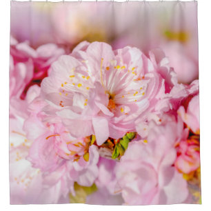 Cortina Para Chuveiro Sakura Cherry FLower - Buquê de casamento