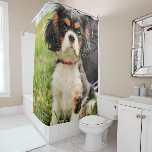 Cortina Para Chuveiro Sério (In Situ)