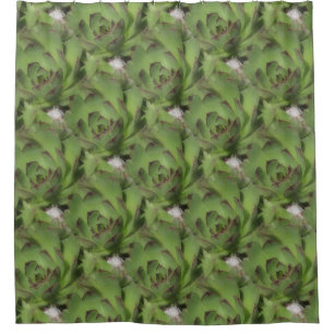 Cortina Para Chuveiro Suculentas Hens And Chicks Padrão da Natureza