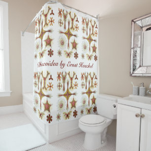 Cortina Para Chuveiro Wild Chamomile por Ernst Haeckel, Vintage Nature