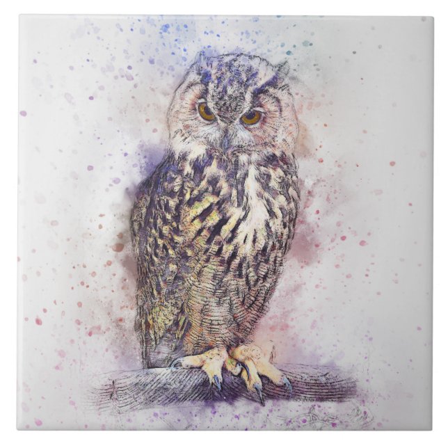 Coruja abstrata (Frente)