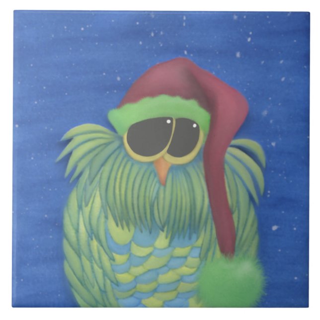 Coruja Adorável com Papai Noel (Frente)