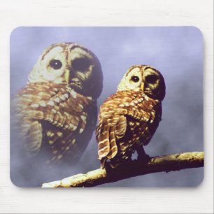 Coruja barrada Mousepad