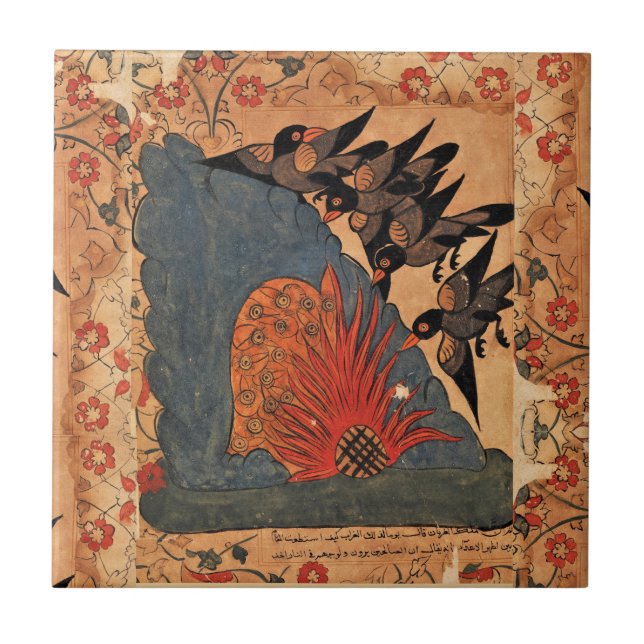 Coruja Coruja Renascença Indiana (Frente)