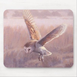 Coruja de celeiro Mousepad