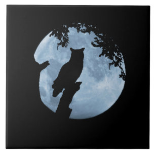 Coruja e Lua Completa 