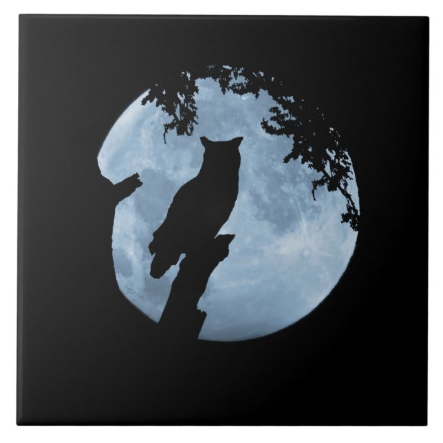 Coruja e Lua Completa  (Frente)