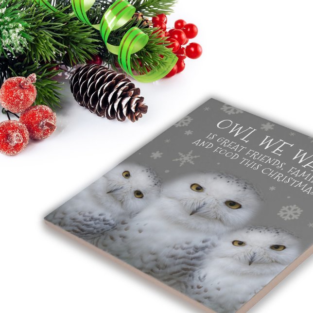 Coruja Engraçada Que Queremos para o Natal... Snow (Zazzle Funny Owl We Want for Christmas ... Snowy Owls Tile Cover Photo.)