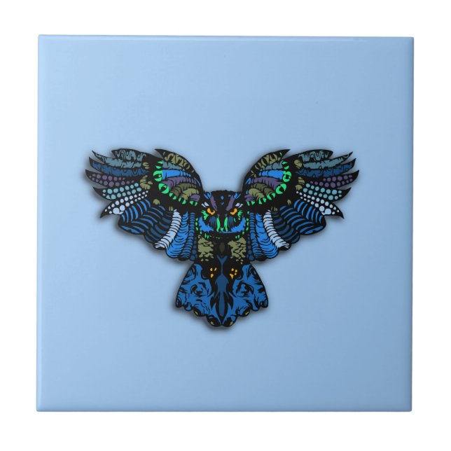 Coruja Espalha Asas no céu azul (Frente)