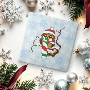 Coruja Floco de Neve de Natal