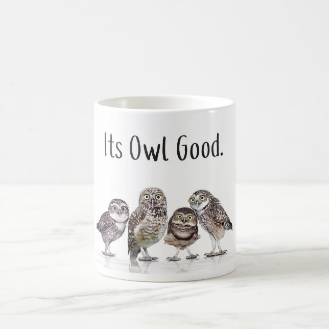 Coruja Lover Mug - Sua OWL Boa - Caneca Engraçada (Centro)
