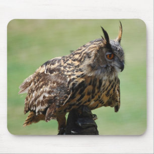 Coruja Mousepad