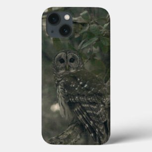Coruja Nas Capas de iphone Da Floresta