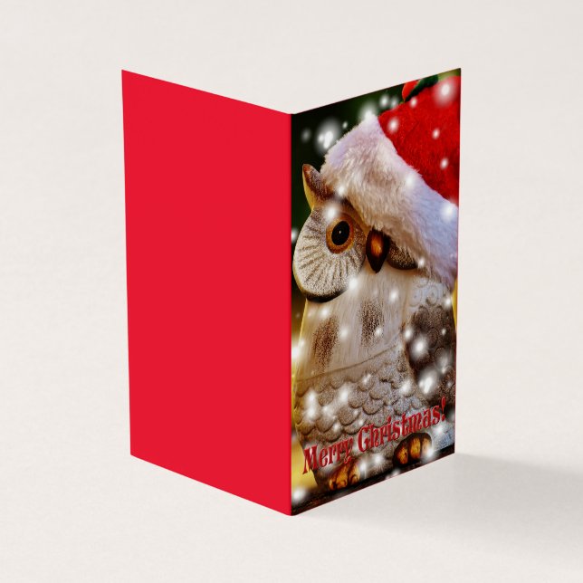 coruja natal (Exterior)