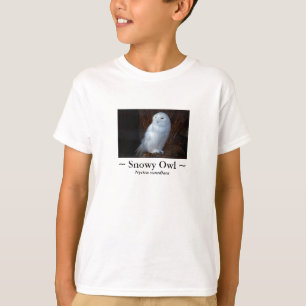 Coruja nevado - a camisa do miúdo
