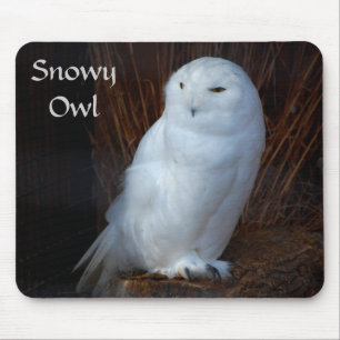 Coruja nevado - mousepad